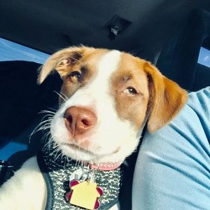 Meet your Posher, Christian